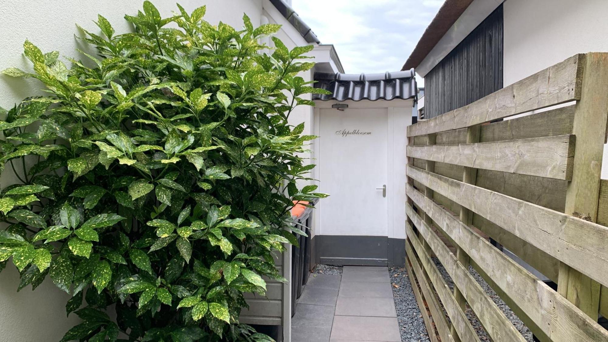 Appelbloesem Villa Bergen Ngoại thất bức ảnh